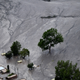 Photo credit: Franck Fife/AP Images